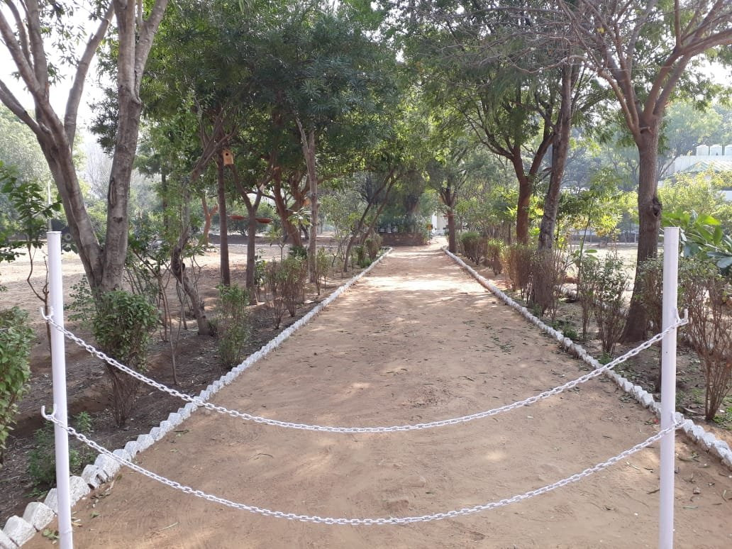 White Mushroom - Rissala Polo Tiger Camp主图