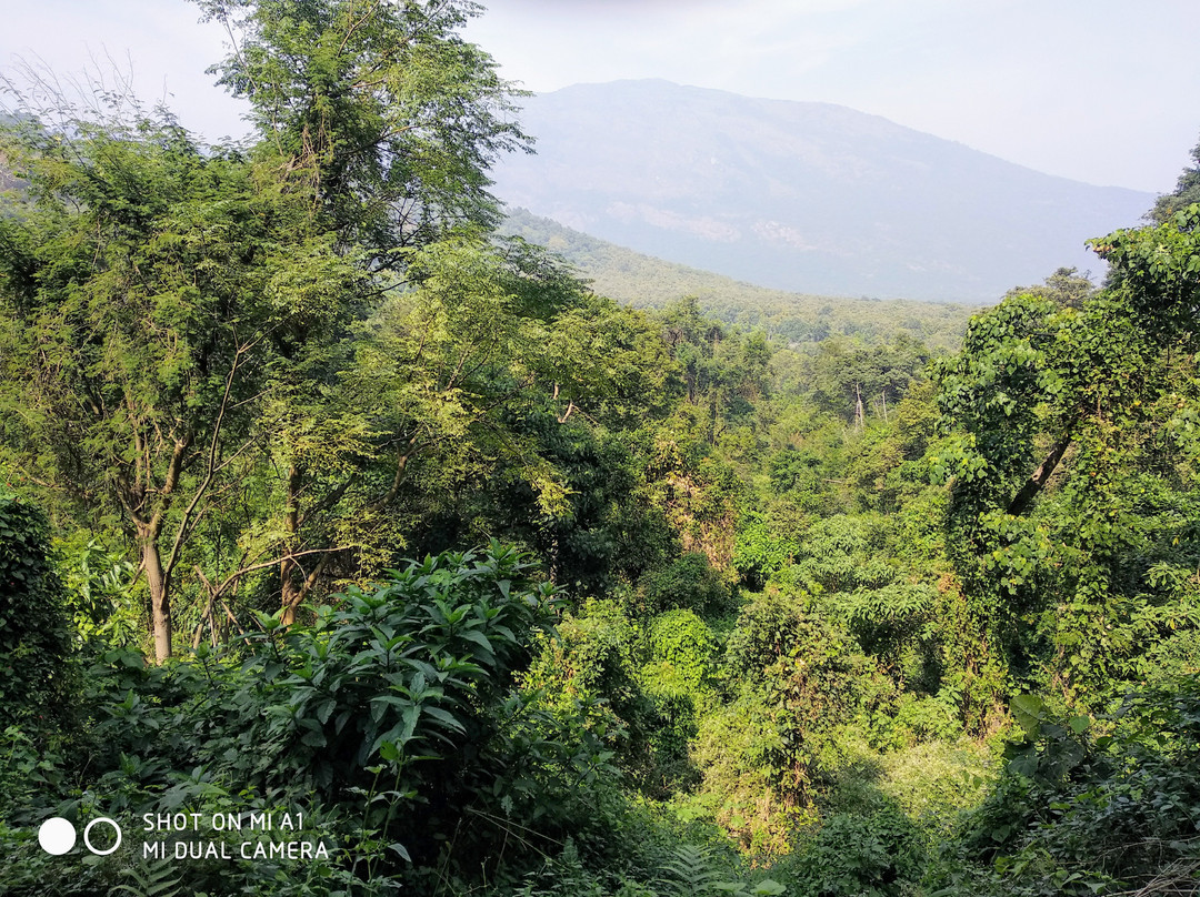 Kovai Kutralam Water Falls-孔巴托必去景点