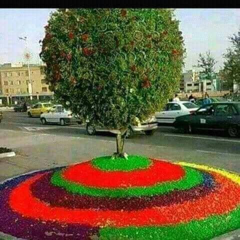 Acropole Hotel主图