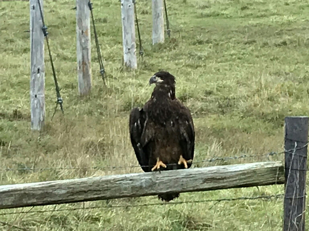 Cottonmill Lake-卡尼必去景点