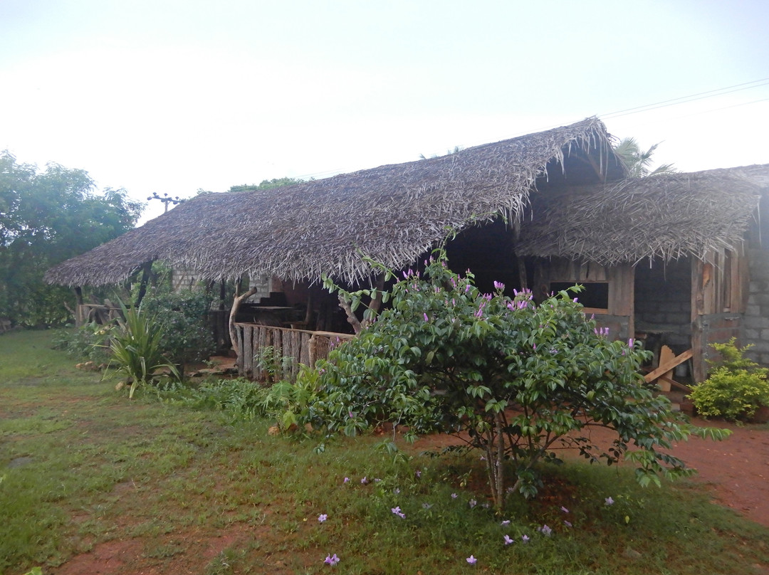 Lake Safari Eco Home主图