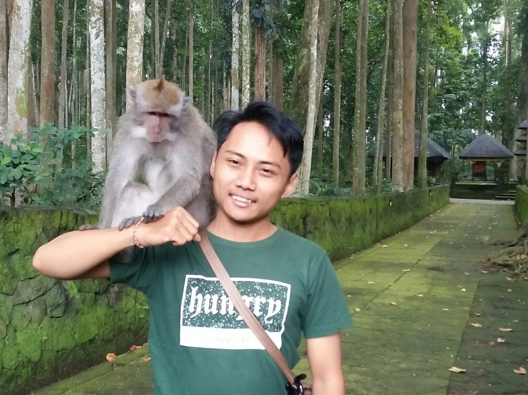 Sangeh Monkey Forest景点图片