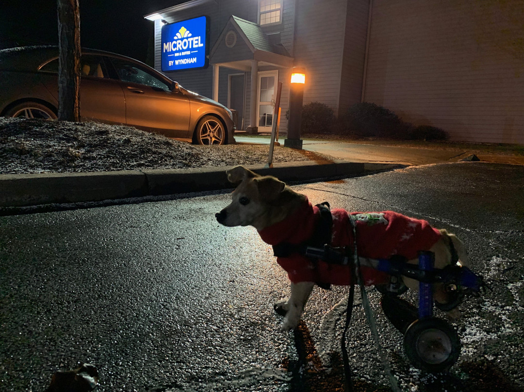 Microtel Inn & Suites by Wyndham Bethel / Danbury主图