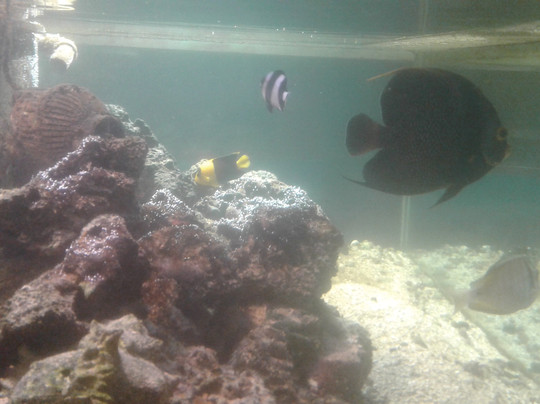 Aquário Municipal-Caconde必去景点