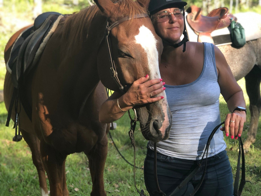 Curra Ridge Horse Rides-Curra必去景点