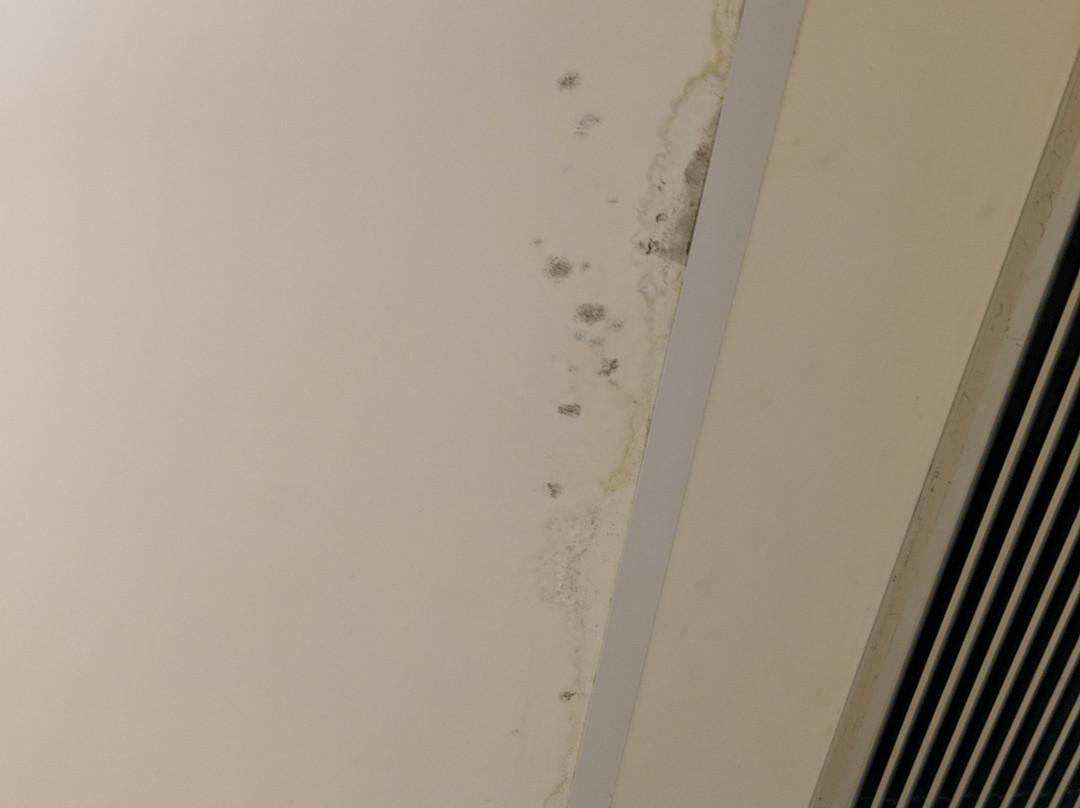 Swiss  Al Hamra Hotel Dammam主图