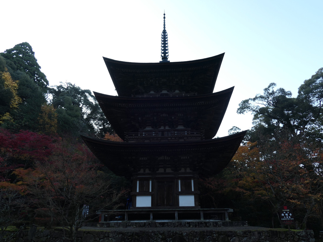 Saimyo-ji Temple 3 Storey Tower景点图片