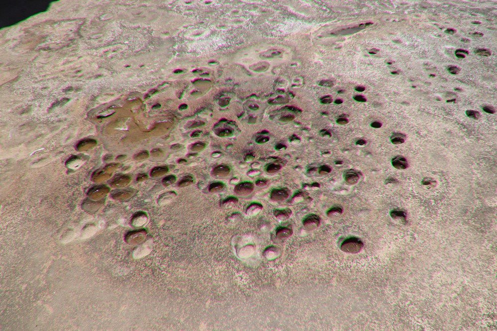 Botany Bay-悉尼必去景点