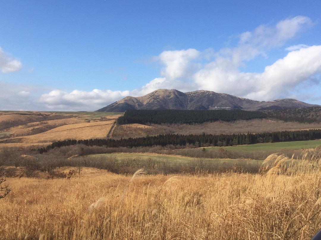 Makinoto Mountain Path景点图片