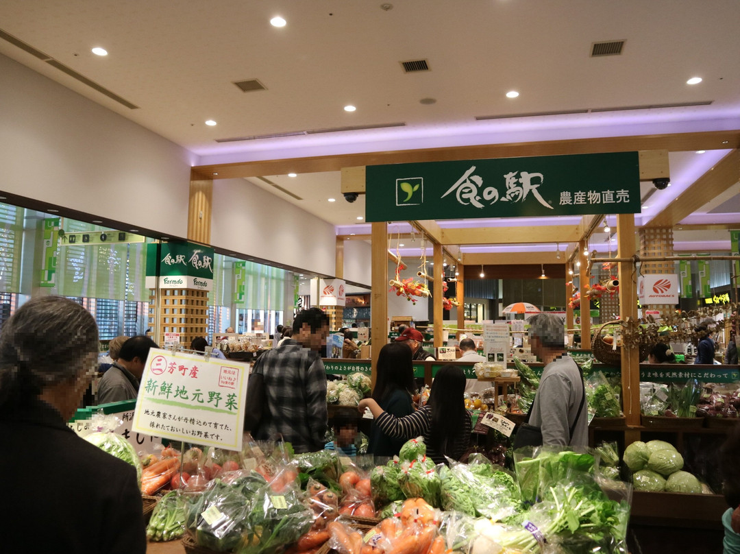 Miyoshi Parking Area Upline-三芳町必去景点
