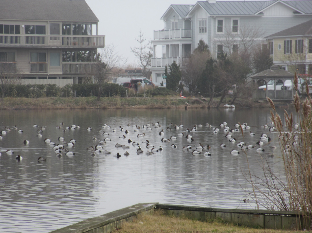 Silver Lake-里霍博斯比奇必去景点