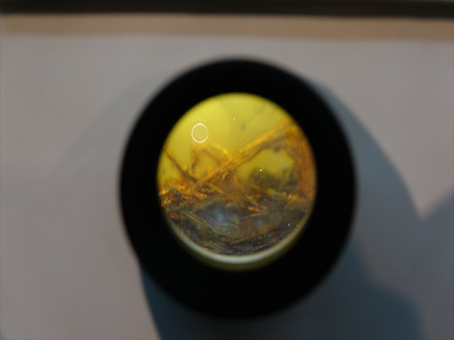 Kujikohaku Museum-久慈市必去景点