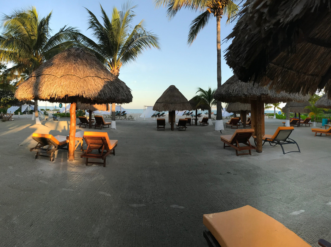Puerto Holbox主图