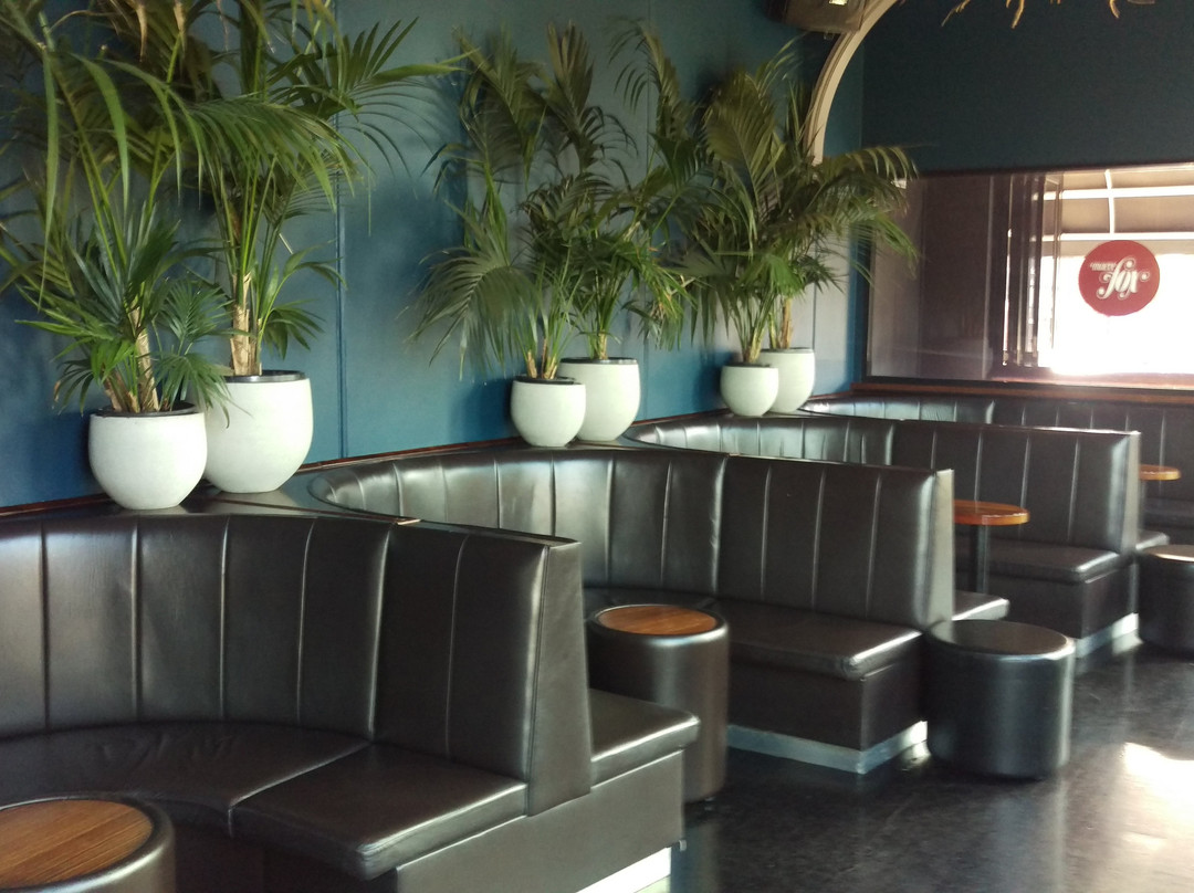 Cremorne旅游景点-Maeve Fox