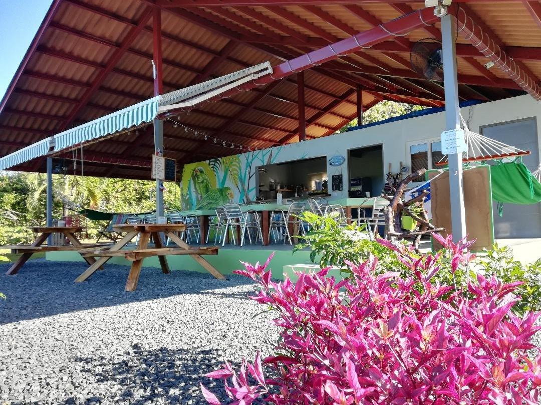 Playa Corona酒店住宿-Cabañas los Colibris