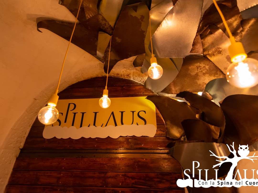 Spillaus