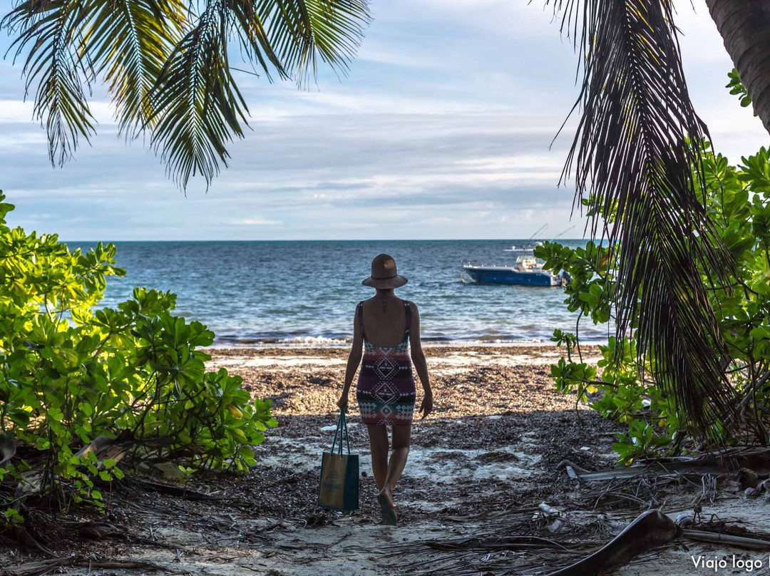 Oasis Hotel Restaurant & Spa主图