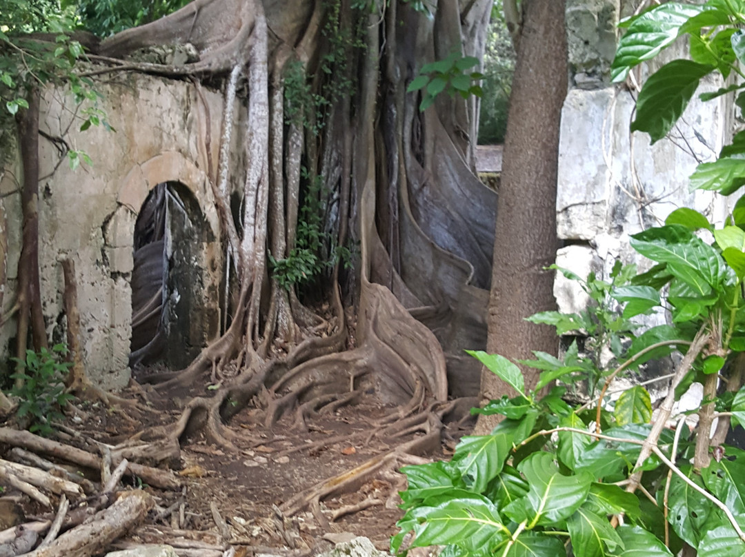 Je Me Deplace Librement-Basse-Terre必去景点