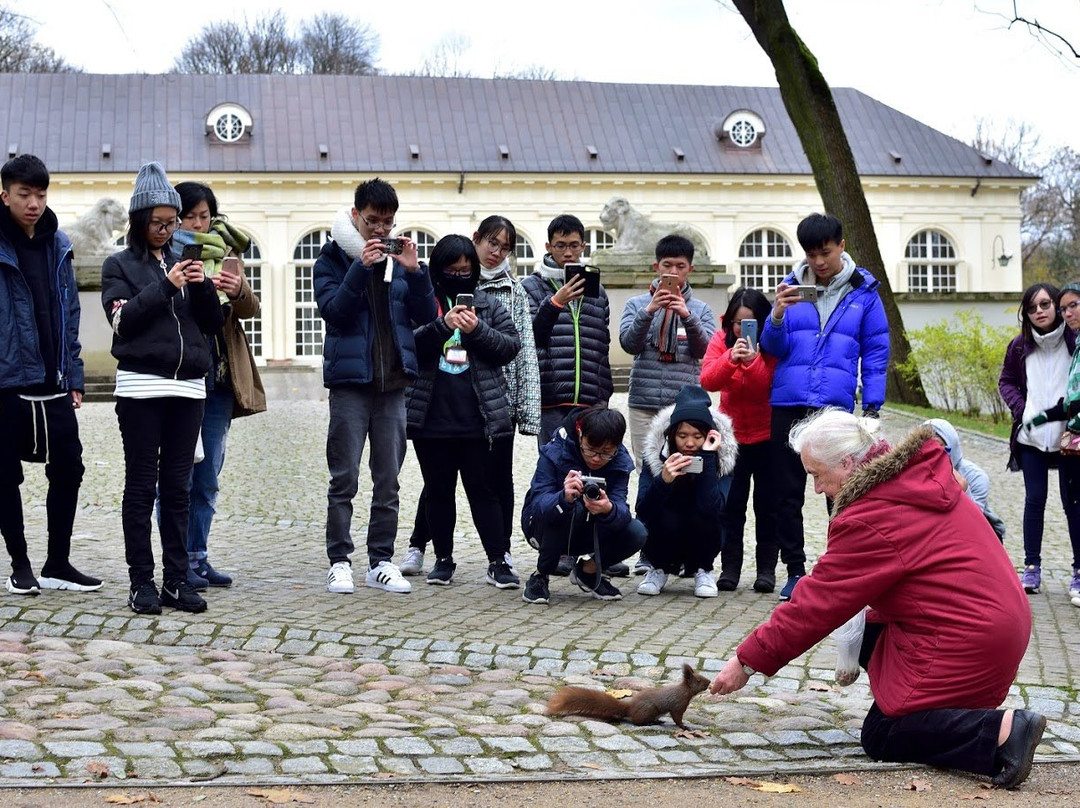 Tours in Gdansk - Local Tour Operator