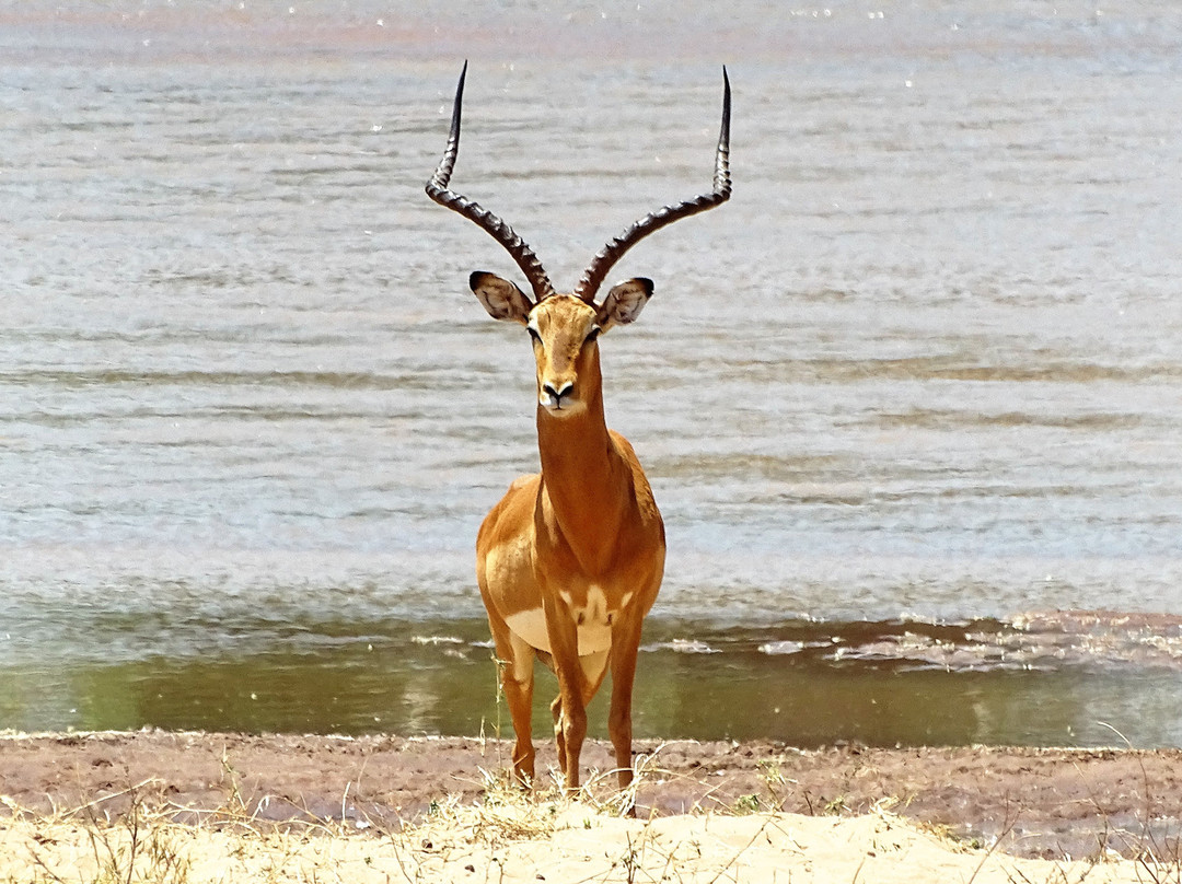 阿什尼尔桑布鲁营地酒店主图