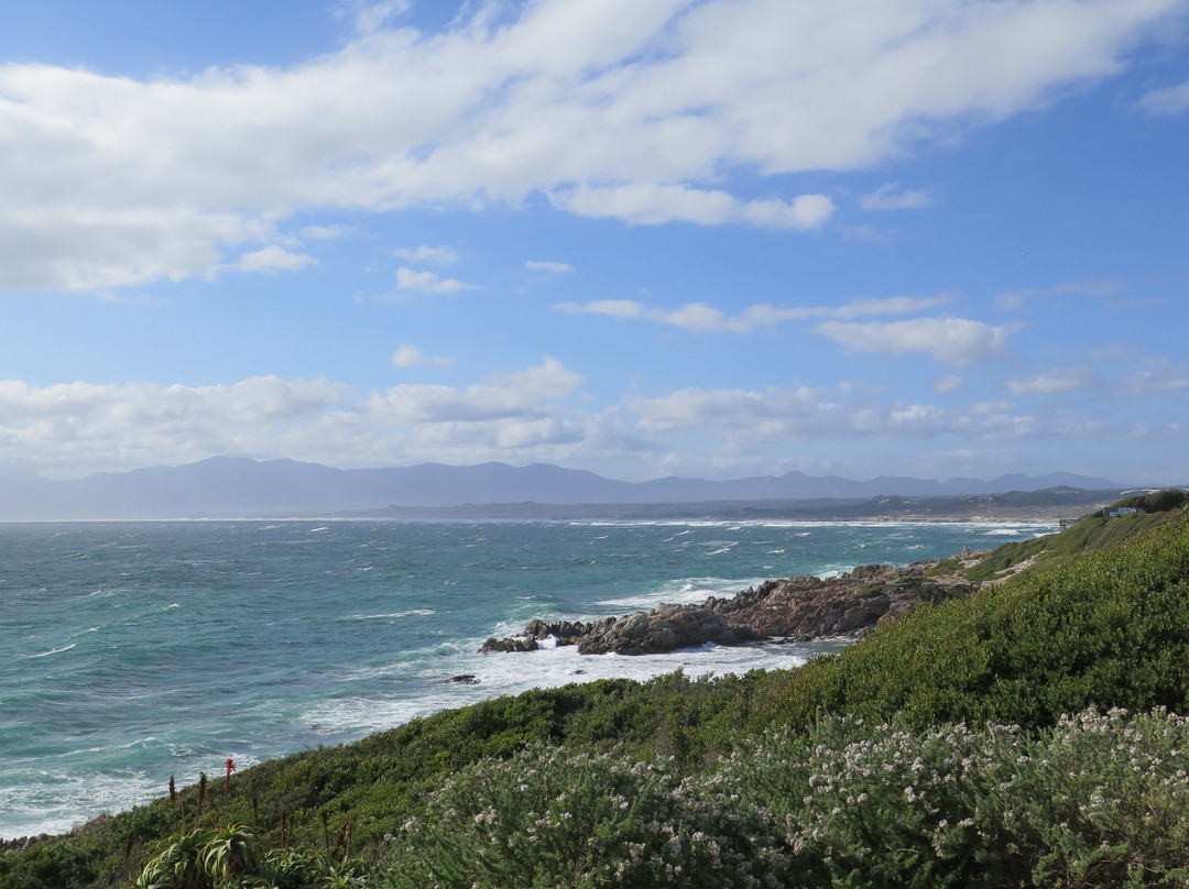 Whalesong Lodge主图