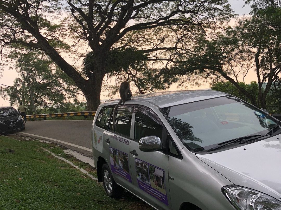 Taman Negara Day Tour景点图片