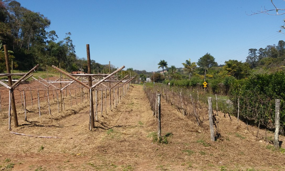 Adega e Cervejaria Galvao-容迪亚伊必去景点