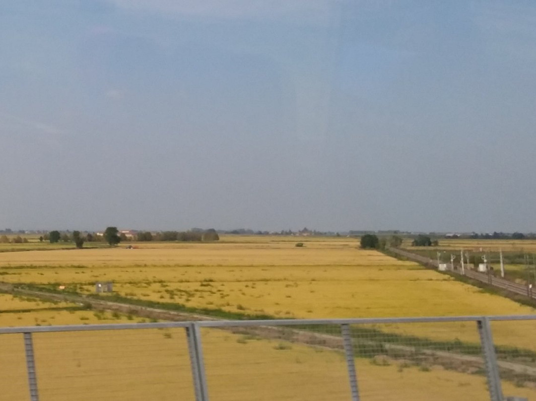 Rice Paddies Po River-韦尔切利必去景点