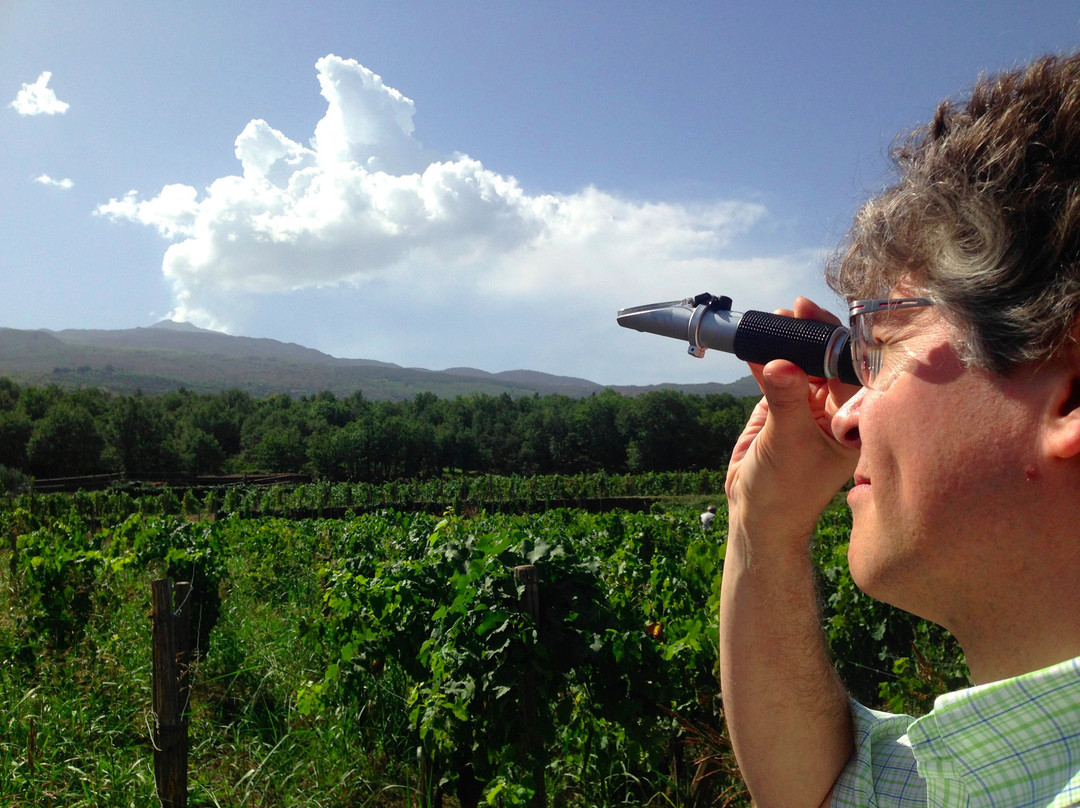 Etna Wine School景点图片