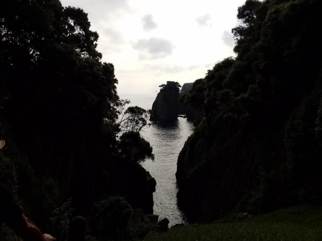 Cueva de El Pindal景点图片