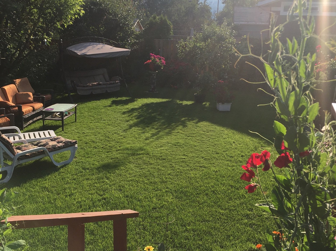 The Grateful Bed B'n'B主图