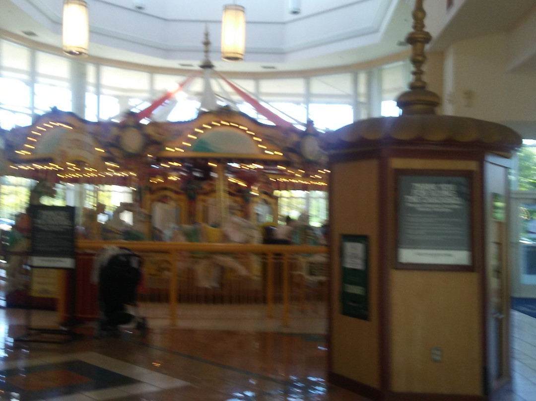 Willow Grove Park Mall景点图片