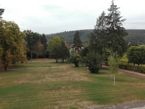 Popuvky旅游景点-Vila Stiassni