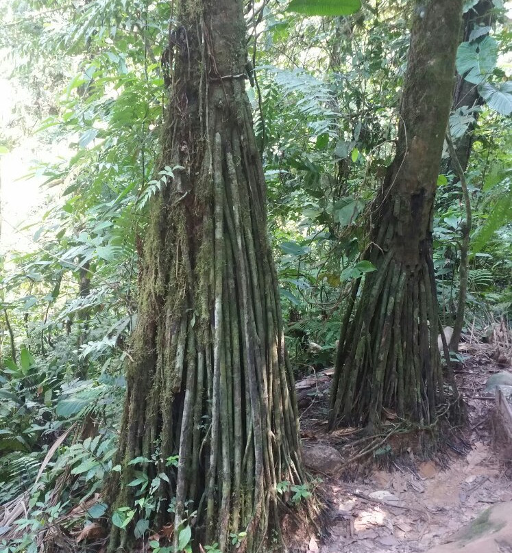 Parque Machia-Villa Tunari必去景点