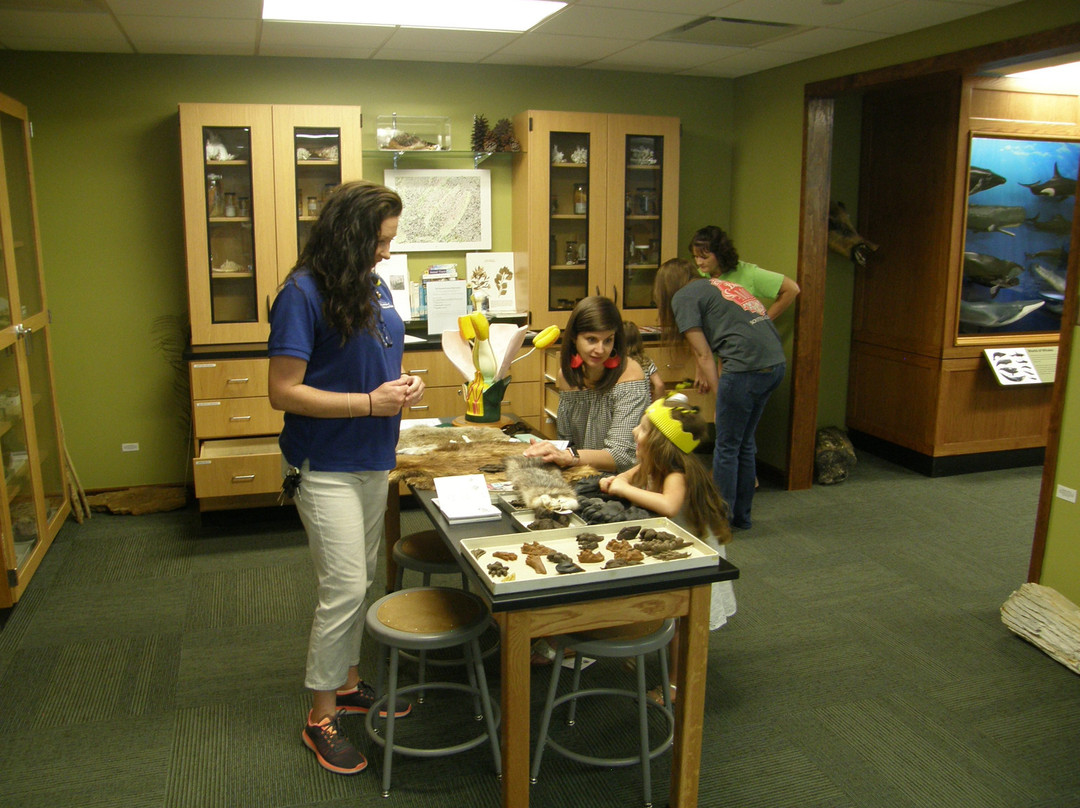 North Carolina Museum of Natural Sciences at Whiteville景点图片