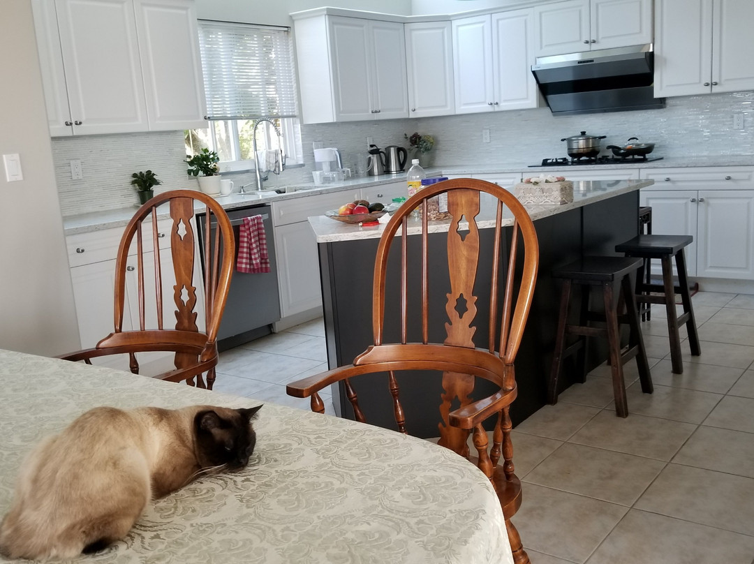 海之星住宿加早餐酒店主图