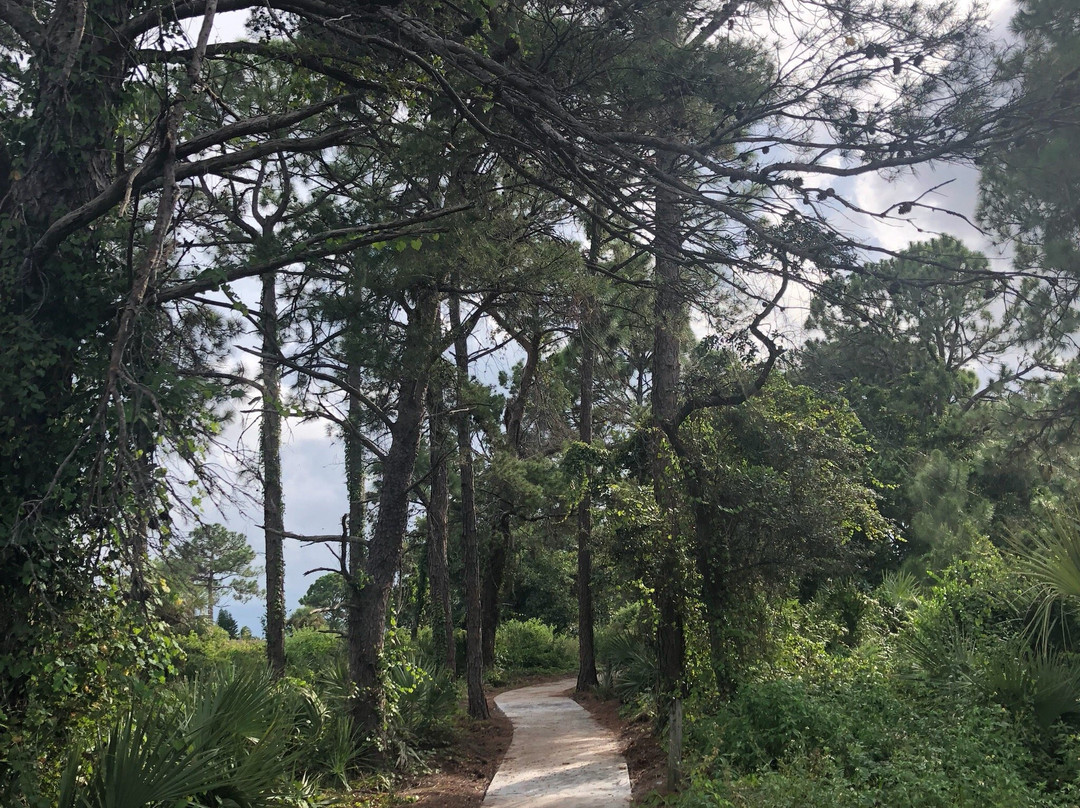 Seacrest Scrub Natural Area-博因顿海滩必去景点