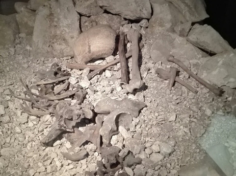 Musée de la Préhistoire du Vercors-Vassieux-en-Vercors必去景点