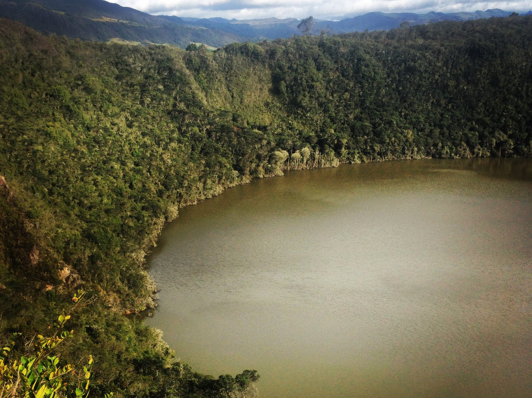 La Juanita Finca Verde主图