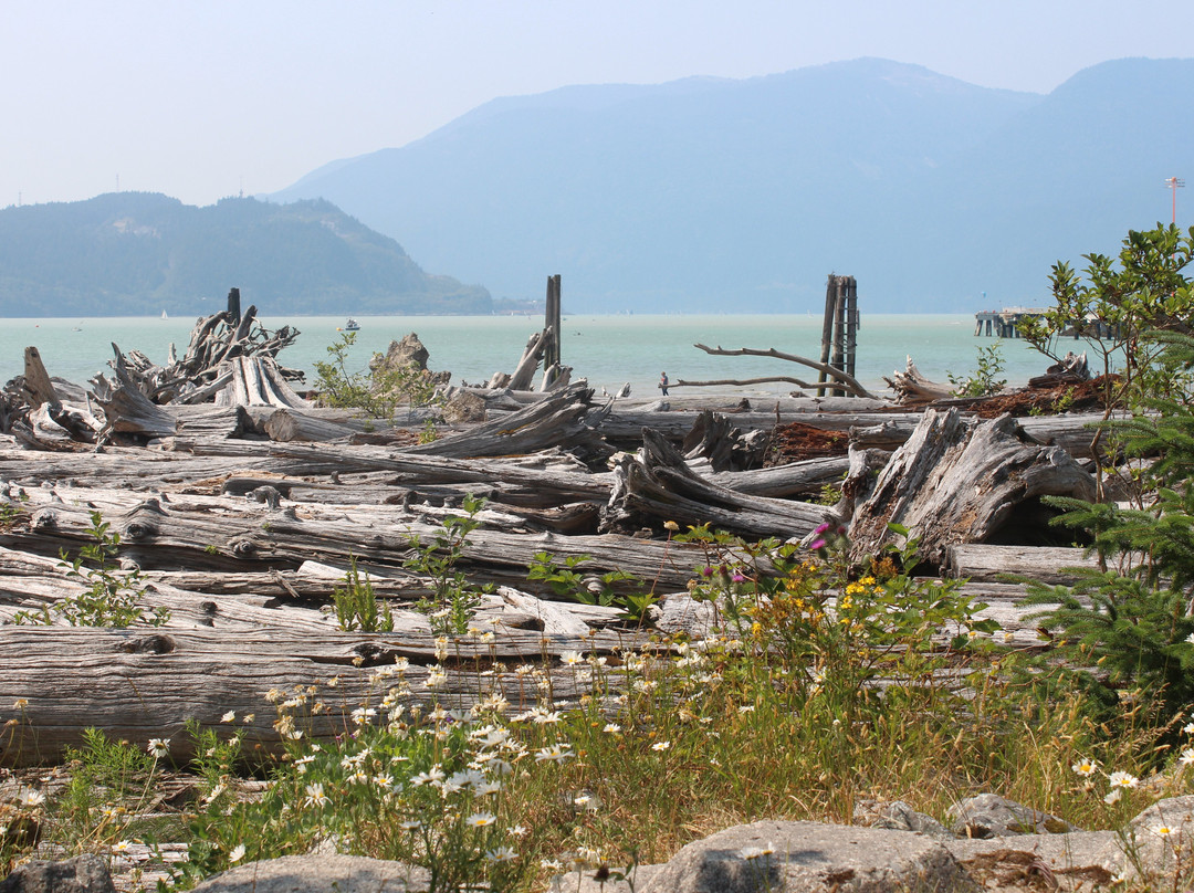Nexen Beach-斯阔米什必去景点