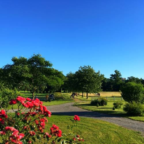 Domaine de Borie主图