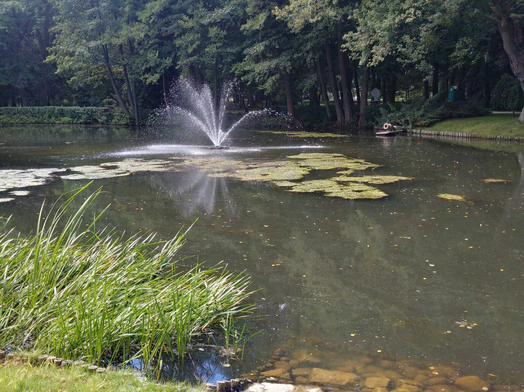 Stanislaw Staszic City Park景点图片