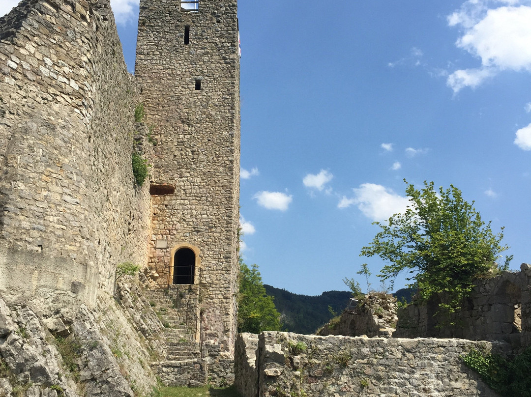 Ruine Schloss Waldenburg景点图片