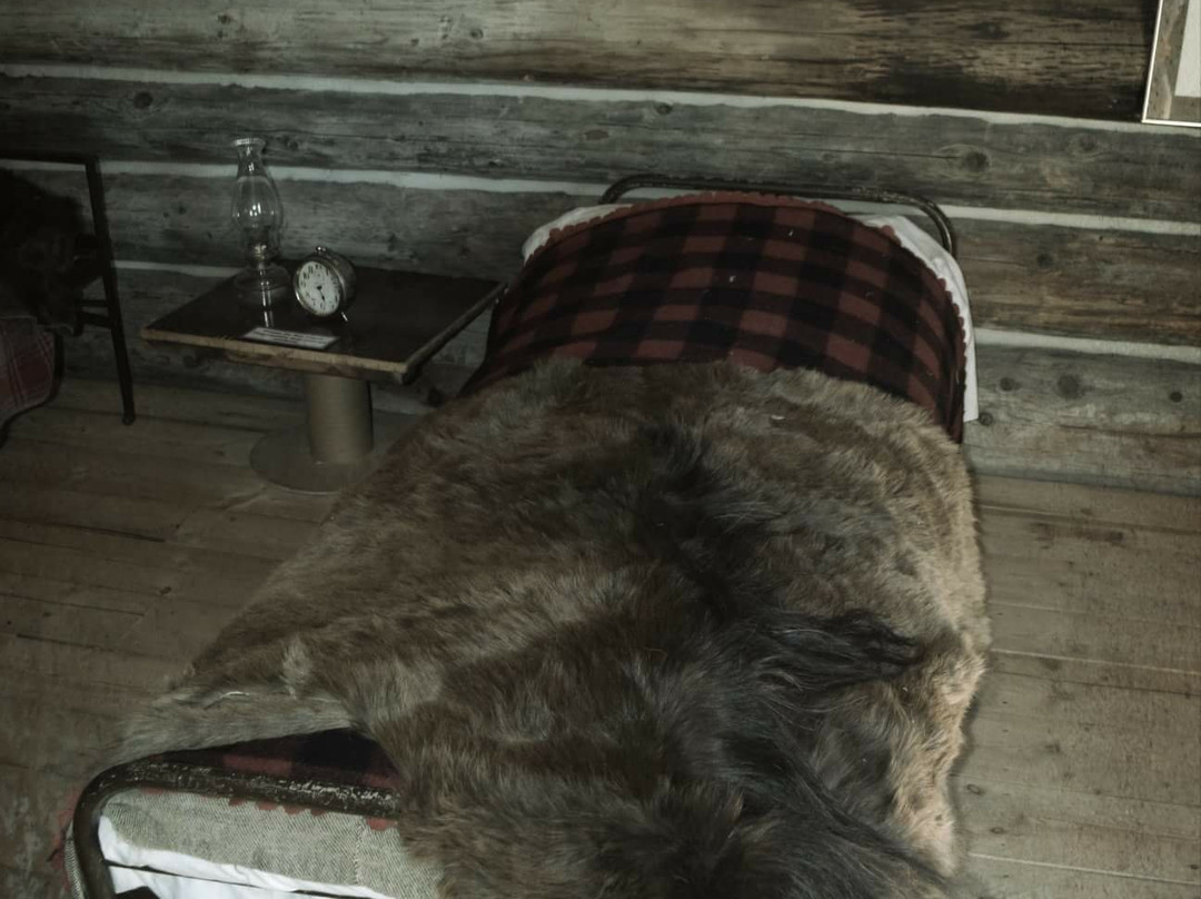 Brooks and District Museum-布鲁克斯必去景点