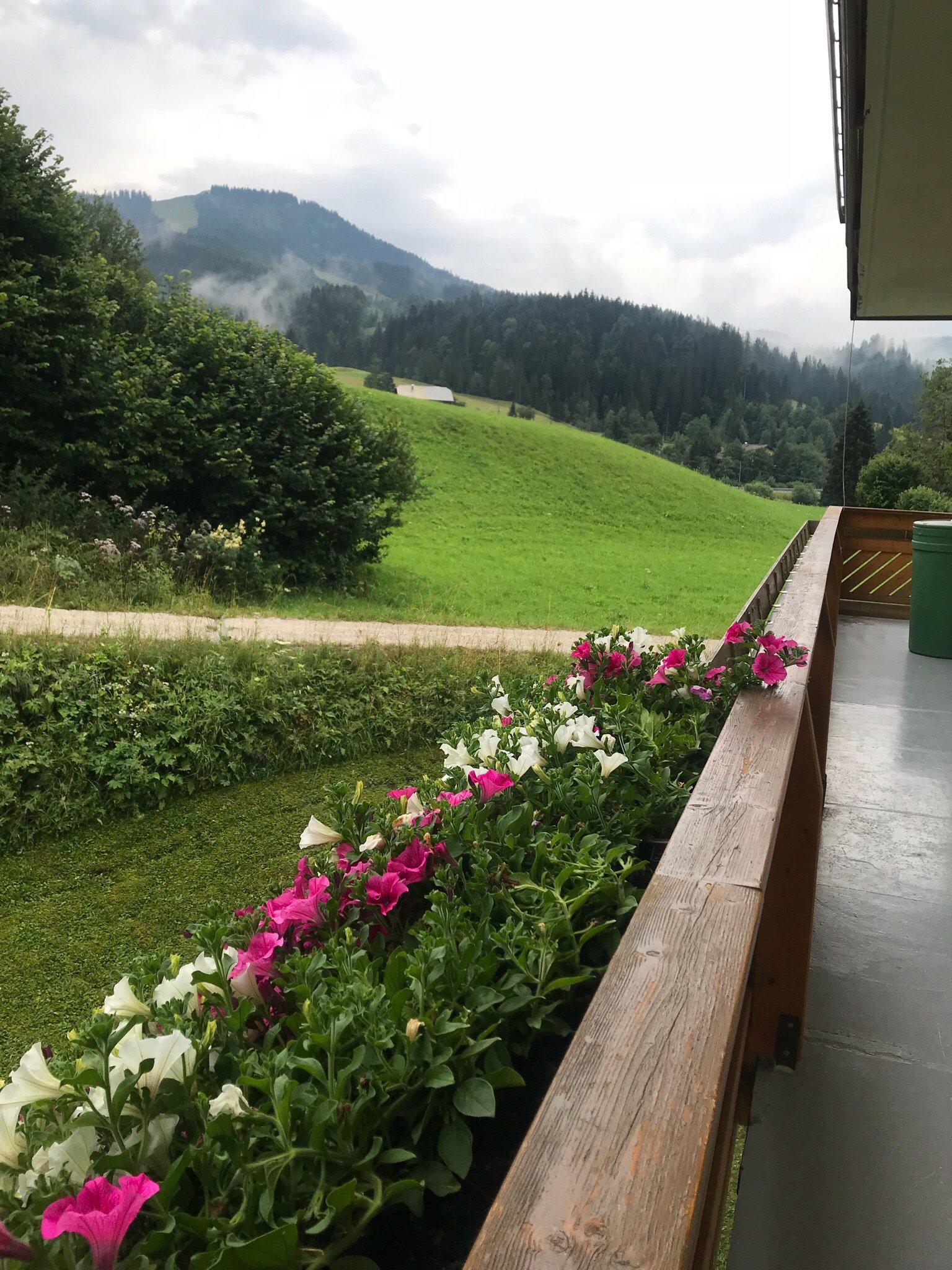 Hotel Kronenhirsch-酒店景观