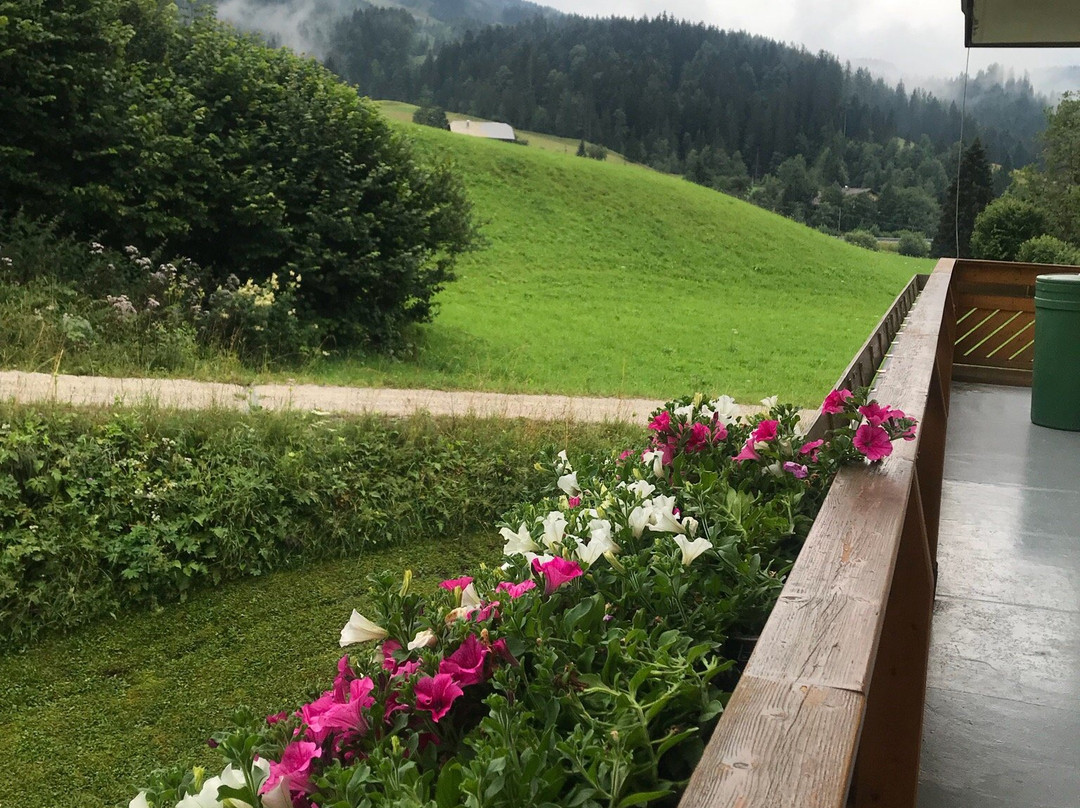 Hotel Kronenhirsch主图