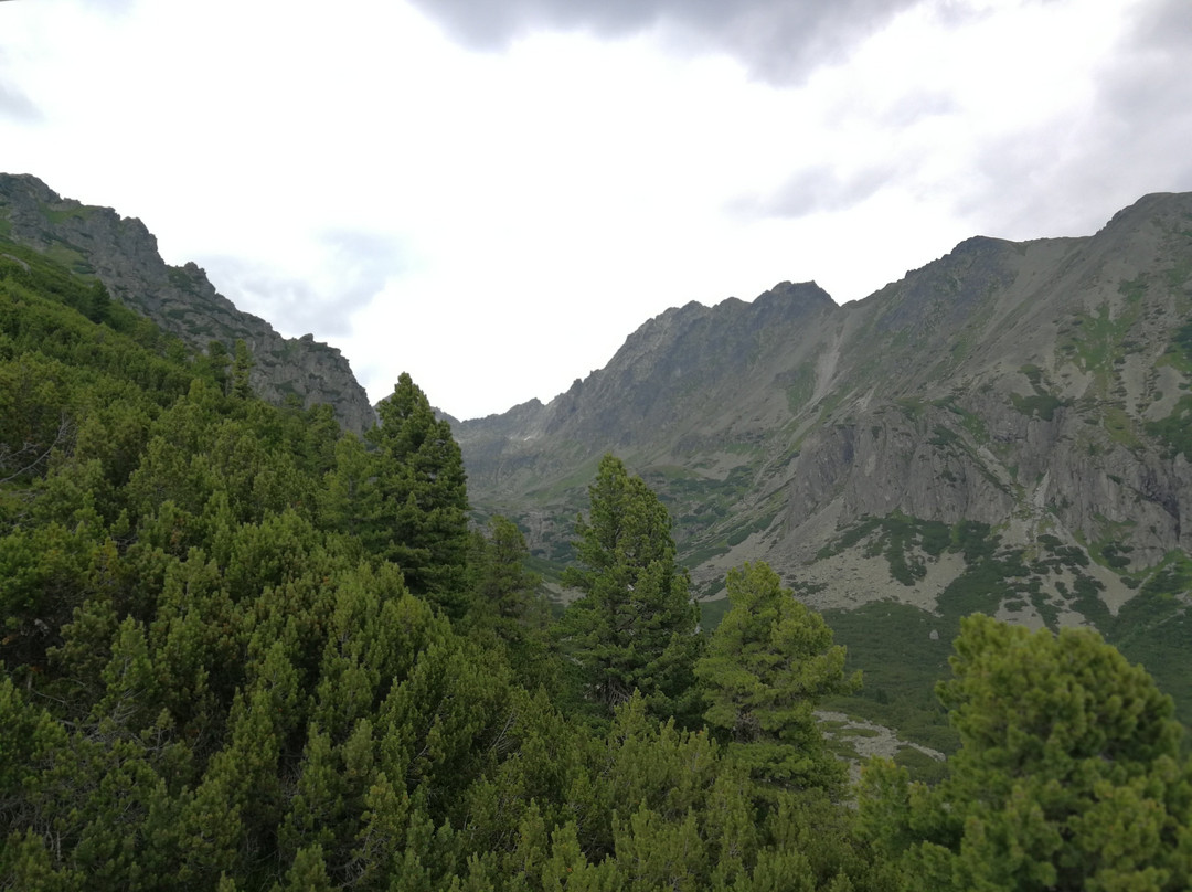 Predné Solisko