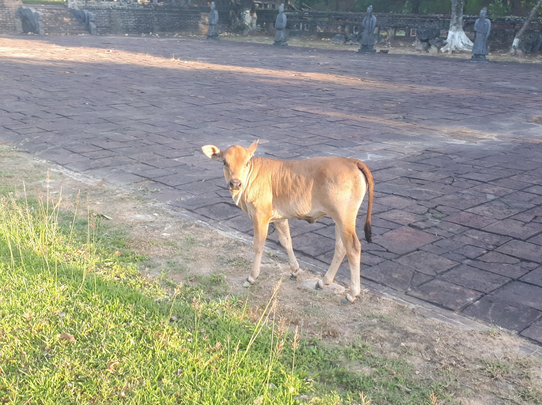 Tomb of Thieu Tri-顺化必去景点