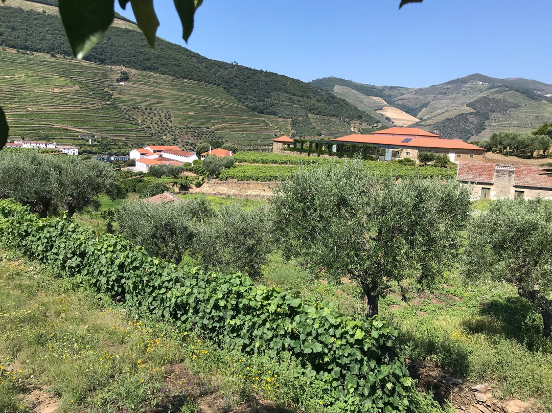 Quinta da Roeda景点图片