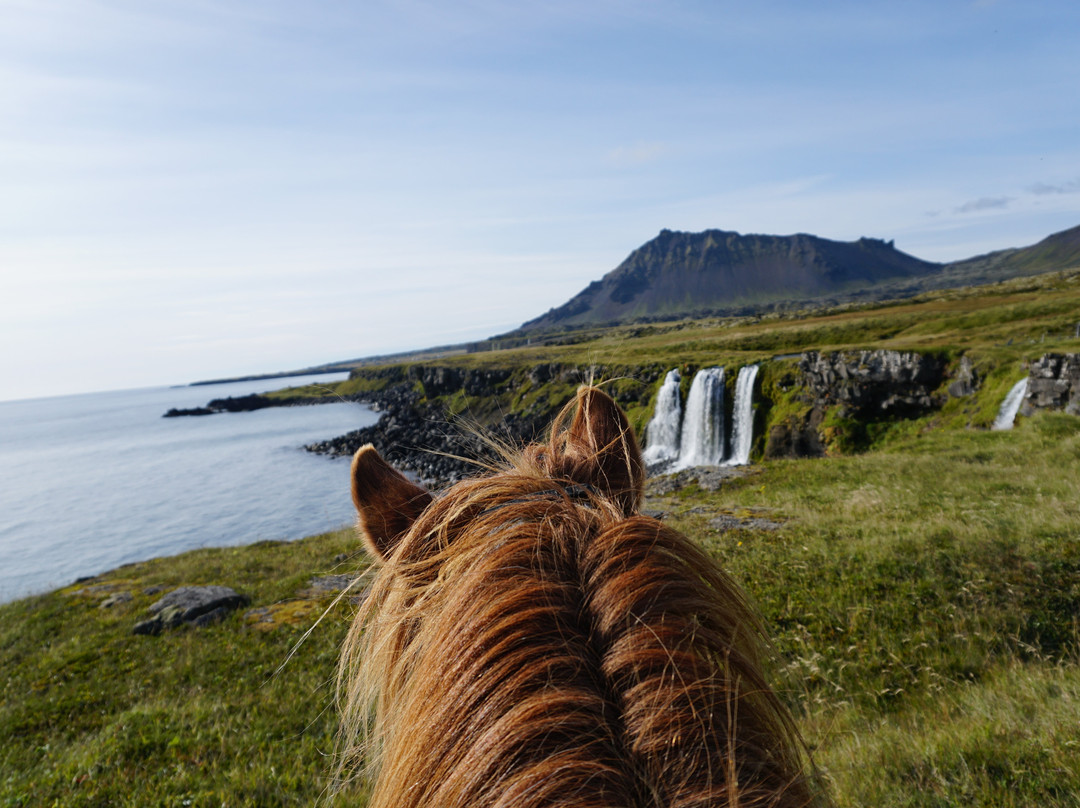 Gröf Horseback Riding Iceland & The Holy Ram Lodge